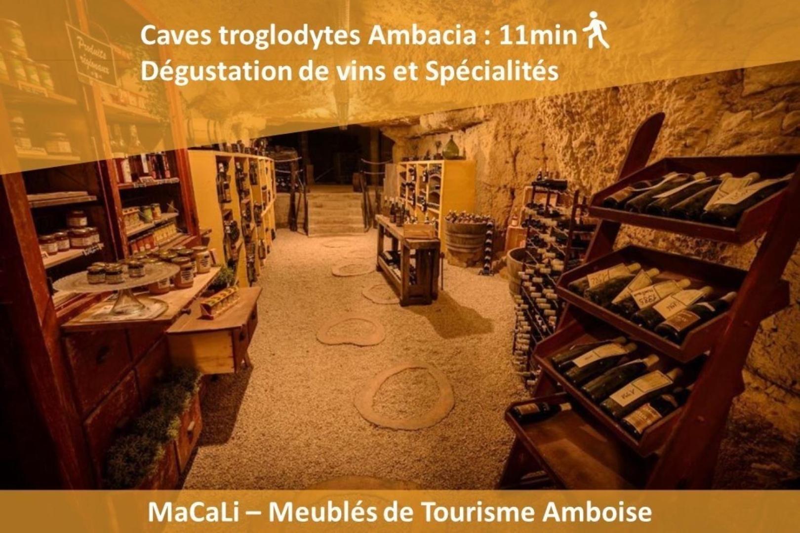 La Maison De L'elephant Perche Amboise